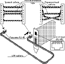 Как смонтировать сеть на витой паре (Twisted-Pair Ethernet)?